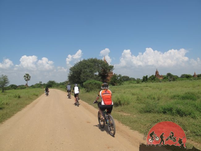 4 Days Saigon Cycling to Travinh -Cantho -Sadec - Caolanh