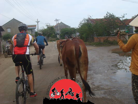 3 Days Chau Doc Cycling to Ho Chi Minh City